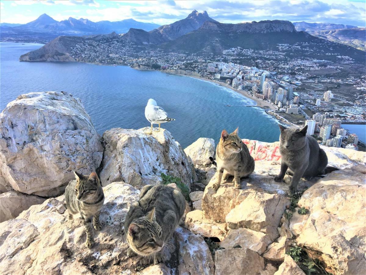 Villa Esmeralda Altea la Vieja Esterno foto